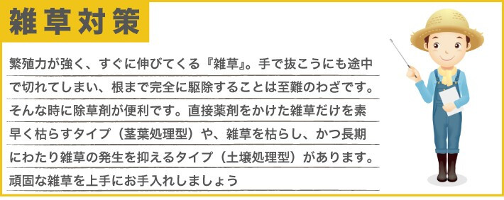 強力 除草剤 はや効き！ 液剤 5L×4本入り 最大2万平米対応 希釈タイプ 液剤 速効 液体 非農耕地用 グリホサート 素早く雑草を枯らす スギナ等の強雑草にも効く 噴霧器別売り 業務用にも ガーデニング ガーデン 庭 外 駐車場 工場 敷地 屋外 雑草対策
