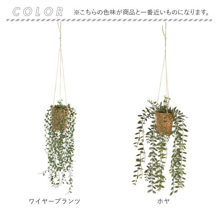 CT触媒 フェイクグリーン ハンギング 通販 キシマ アーティフィシャルグリーン 観葉植物 フェイク グリーン 吊り下げ バスケット 壁掛け 人工観葉植物 消臭 ハンギングバスケット 小さめ 小型 おしゃれ リビング リアル kishima 造花 インテリア