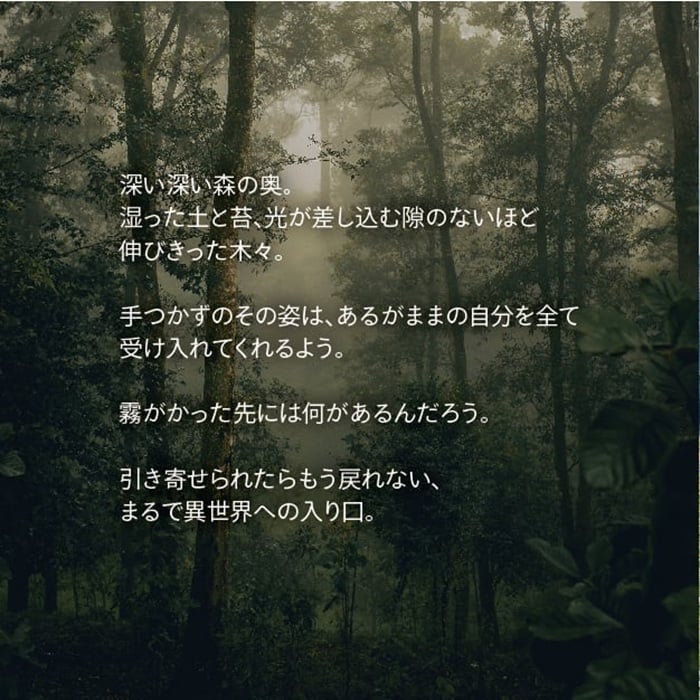 森の香りのピローミスト《DEEP FOREST》｜天然精油・森林浴