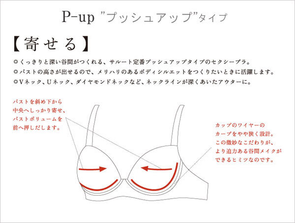 ワコール サルート BTJ442 42G ブラジャー 3/4カップワイヤー (P-upタイプ) G・H・Iカップ