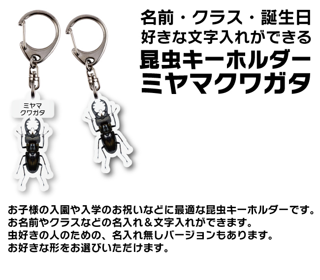 ゆうパケット発送 名入れ文字入れOK 昆虫キーホルダー ミヤマクワガタ 名入れ お酒 ギフト プレゼント 誕生日 結婚祝い 結婚記念日 出産祝い 還暦祝い 男性 女性 父の日 敬老の日 ＊他の商品はこちら→