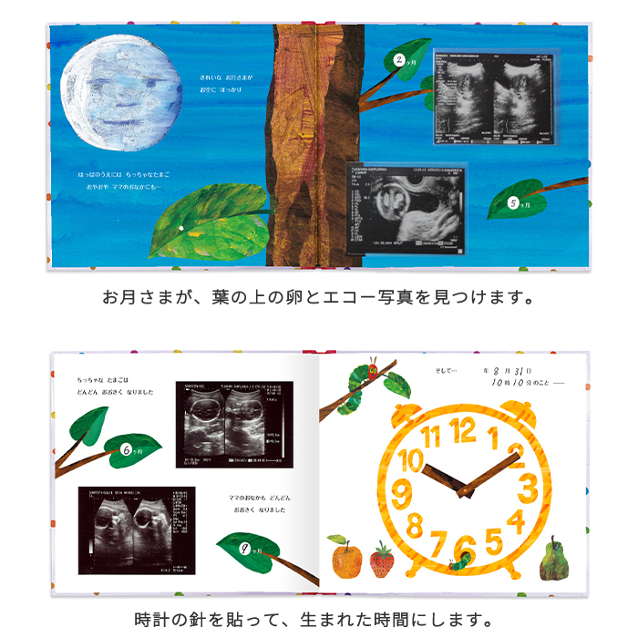 はらぺこあおむし アルバムしかけ絵本 「たんじょうものがたり」 | エコー写真 保存 エコーアルバム おたんじょうきろく 写真 赤ちゃん ベビー