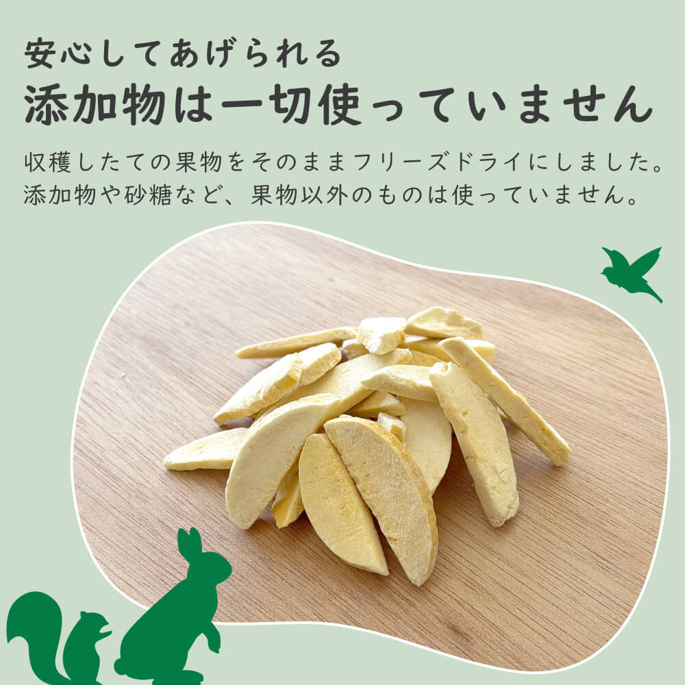 【砂糖不使用】小動物用フリーズドライマンゴー 20g 40g 60g 1袋あたり約35枚入り スライス ウサギ ハムスター モルモット インコ リス チンチラ ハリネズミ モモンガ おやつ 人も食べれる 完全無添加 砂糖ゼロ フルーツ 乾燥 果物 ペット 動物 中国産 送料無料