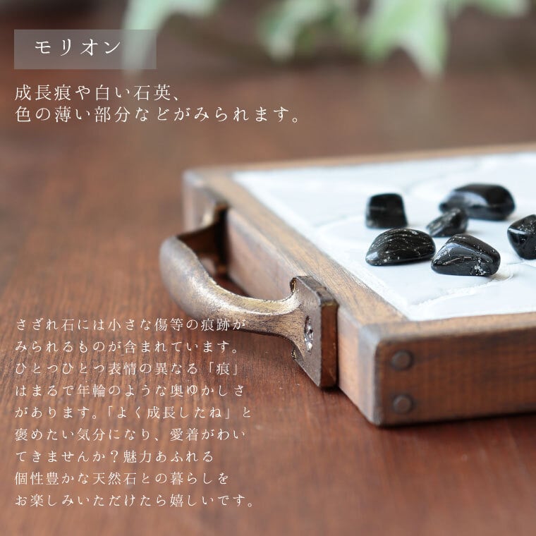 最強の魔除け 黒水晶 モリオン さざれ石 水晶ポイント パワーストーン 浄化セット サザレ 水晶 置き皿 浄化皿 ブレスレット ピアス ネックレス の浄化用 天然石 厄年 風水 玄関用 部屋用 置物 厄払い 9月 誕生日 ギフト