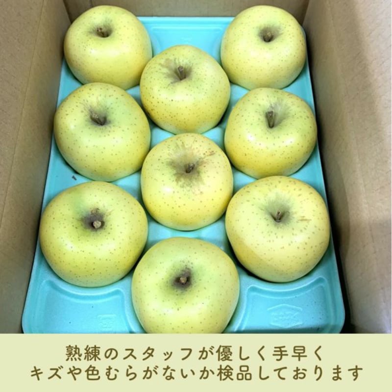 糖度12度保証 長野県産りんご シナノゴールド プレミアム ご贈答 果物 フルーツ お取り寄せ 産地直送 【送料無料(一部地域除く)】
