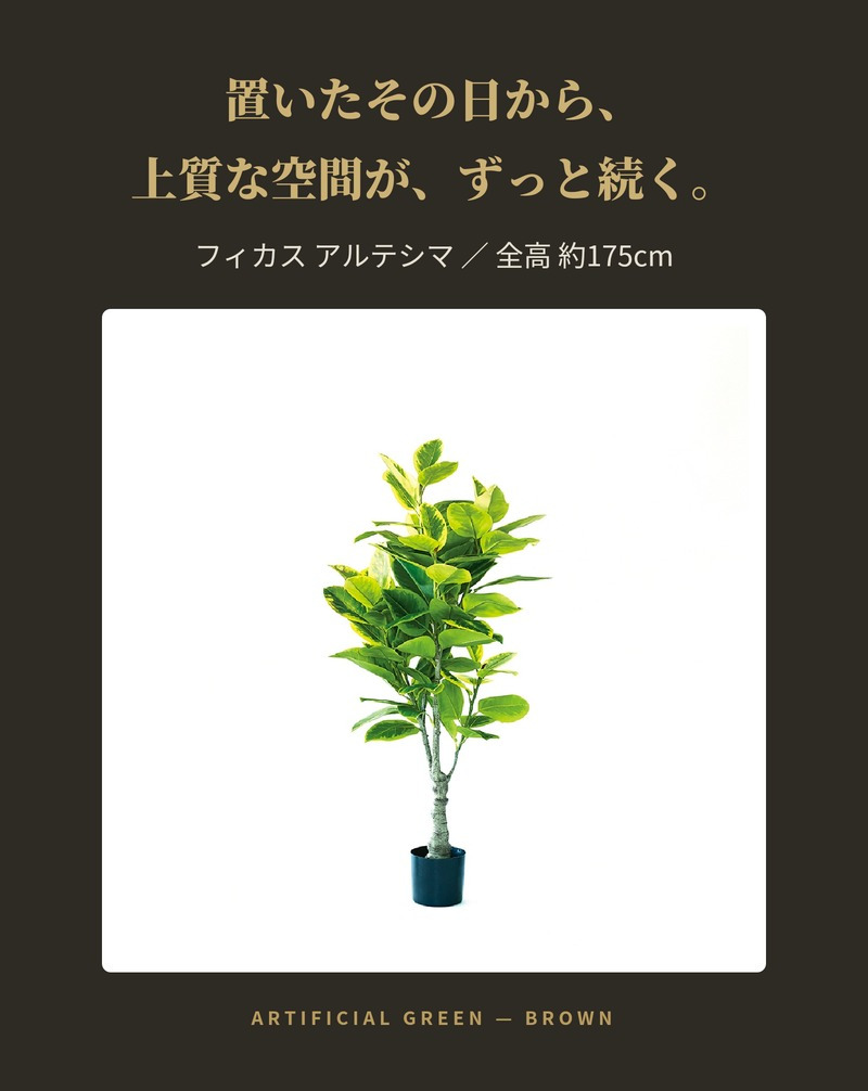 観葉植物 造花 フィカス アルテシマ BROWN 全高約175cm 大型 斑入り フェイクグリーン 高級 本物そっくり リアル おしゃれ インテリア 人工観葉植物 アーティフィシャルグリーン オフィス 店舗 ホテル 開店祝い 室内 リビング 玄関 風水 ゴムの木 アルテシーマ