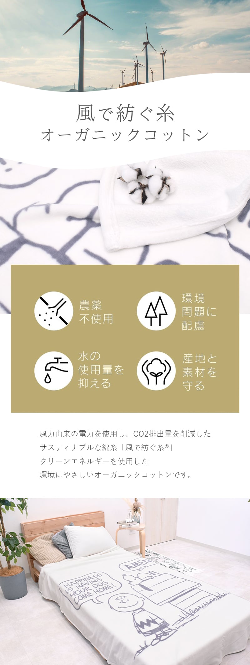 綿毛布 シングル ハーフ 日本製 西川 泉大津 毛布 ブランケット オーガニックコットン コットンケット 風で紡ぐ糸 サステナブル ピーナッツ PEANUTS スヌーピー SNOOPY 大人かわいい マイヤー キャラクター FQ05101602