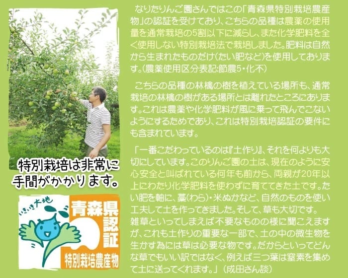 【11月中旬頃発送】蜜入りは１２月末まで　青森県認証 特別栽培農産物 ◆ 甘くておいしい！フォーシーズン 青森りんご 葉とらずサンふじ 家庭用 約１０kg箱