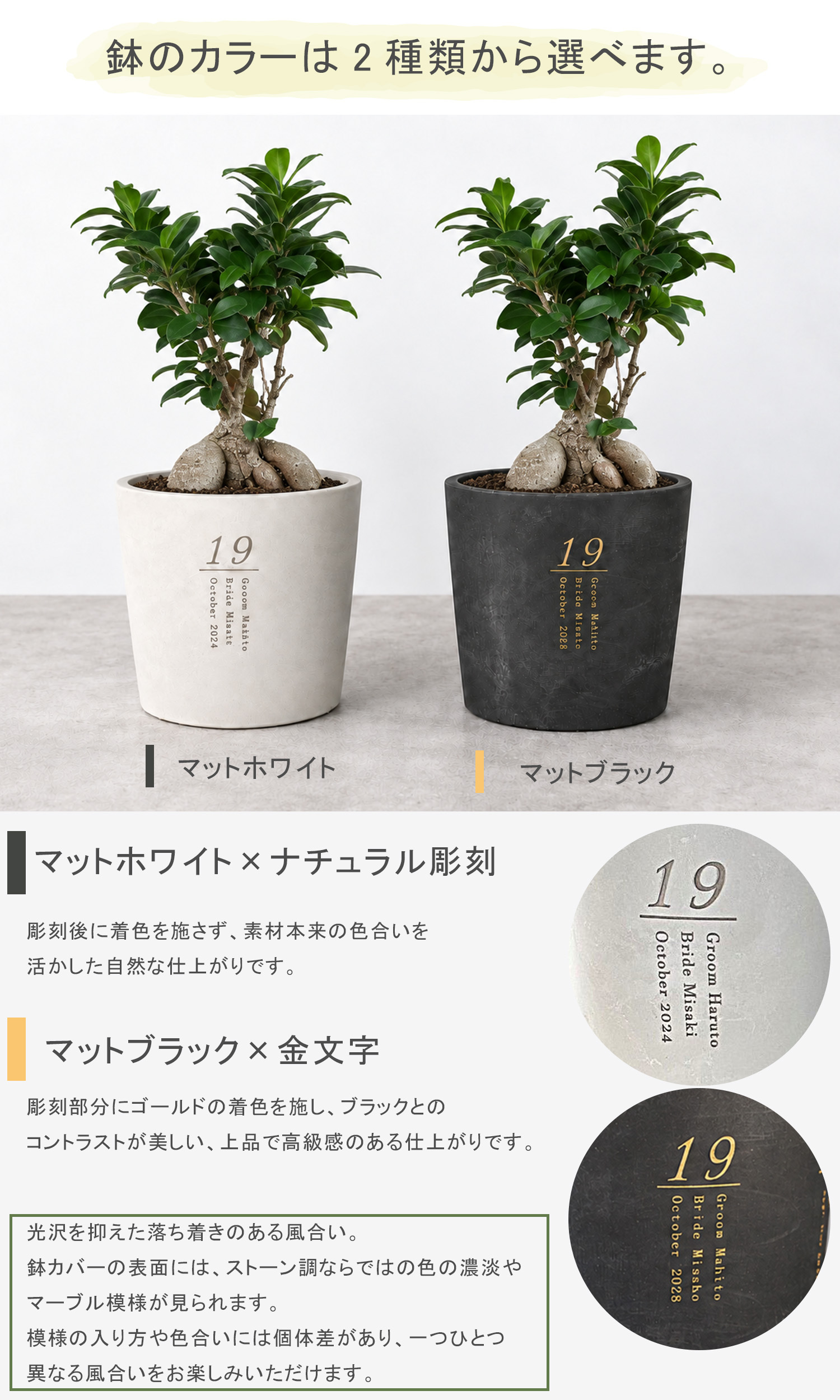 ゲスト参加型 結婚証明書 ペイントアート 植樹 オリーブ ガジュマル 水合わせの儀 植樹の儀 ウェディングキャンバス グリーン 結婚式 結婚準備 ウェルカムスペース 人前式 名入れ オリジナル 送料無料 人気 プレ花嫁 誓約書 おしゃれ送料無料【ウェディングポットアート】
