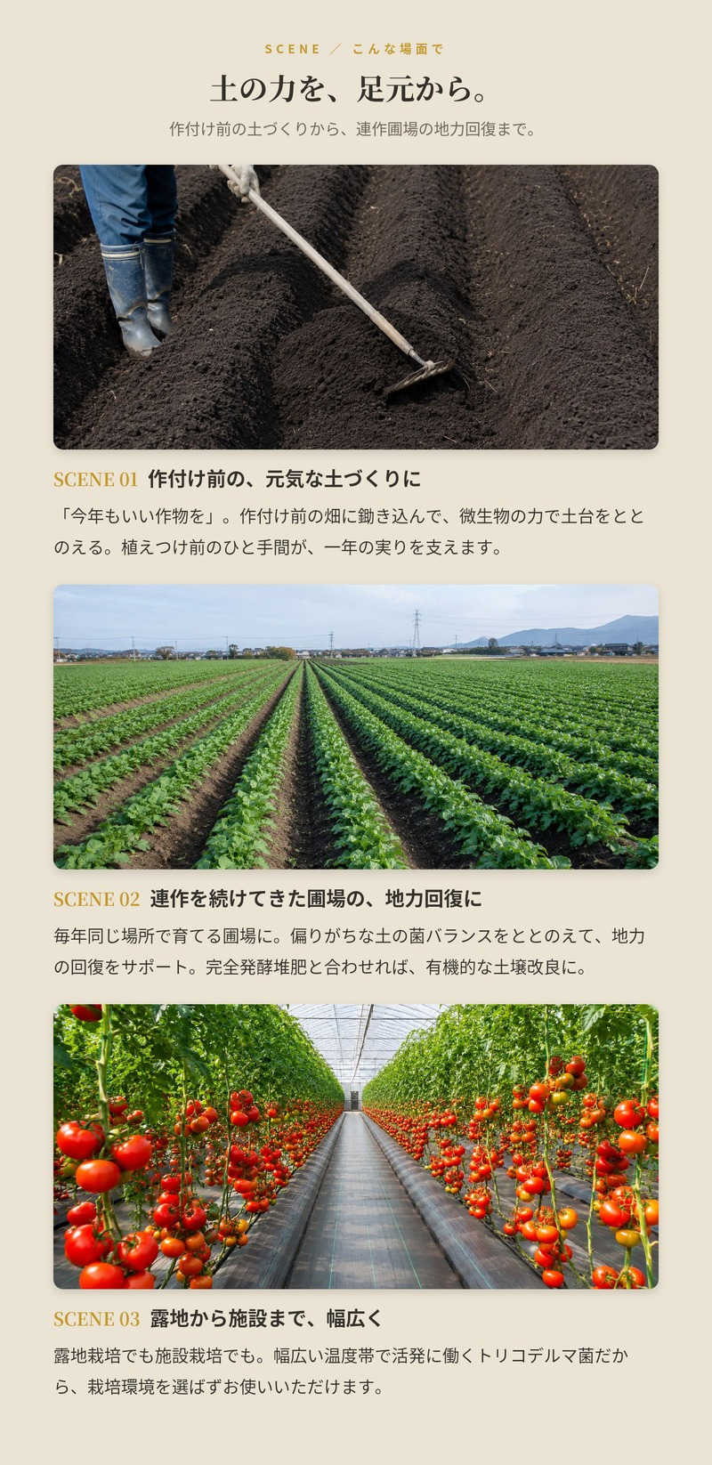 堆肥 Dr.トリコ菌 20L(7kg) 有機JAS適合 トリコデルマ菌 微生物資材 連作障害 対策 土壌改良材 アルム農材 緑の放線菌 リゾクトニア 土づくり 有機農業 家庭菜園 発酵肥料 善玉菌 有用微生物 生育障害 果菜 果樹 野菜 農業資材 プロ仕様 リン酸