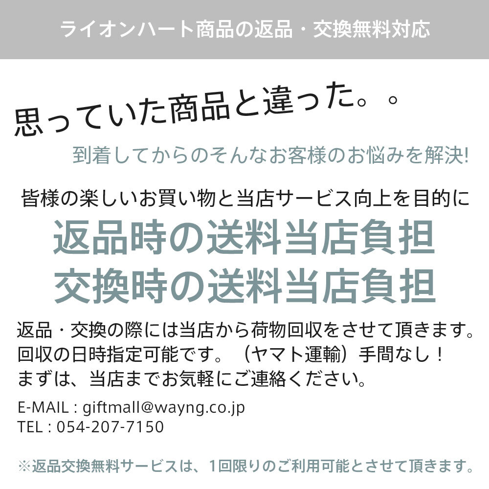 ライオンハート LH-1 アンカーチェーン アンクレット サージカルステンレス 金属アレルギー対応 メンズ ブランド