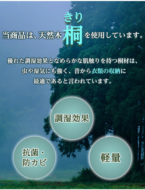 天然木使用 抗菌・防カビ・調湿効果 軽量押し入れ桐すのこ 8枚入り OKR-8--NA ナチュラル 幅33x奥行75×2.8cm ホームテイスト インテリア 収納 収納家具 押入れ収納 押入れすのこ 防カビ 調湿効果 軽量 新生活