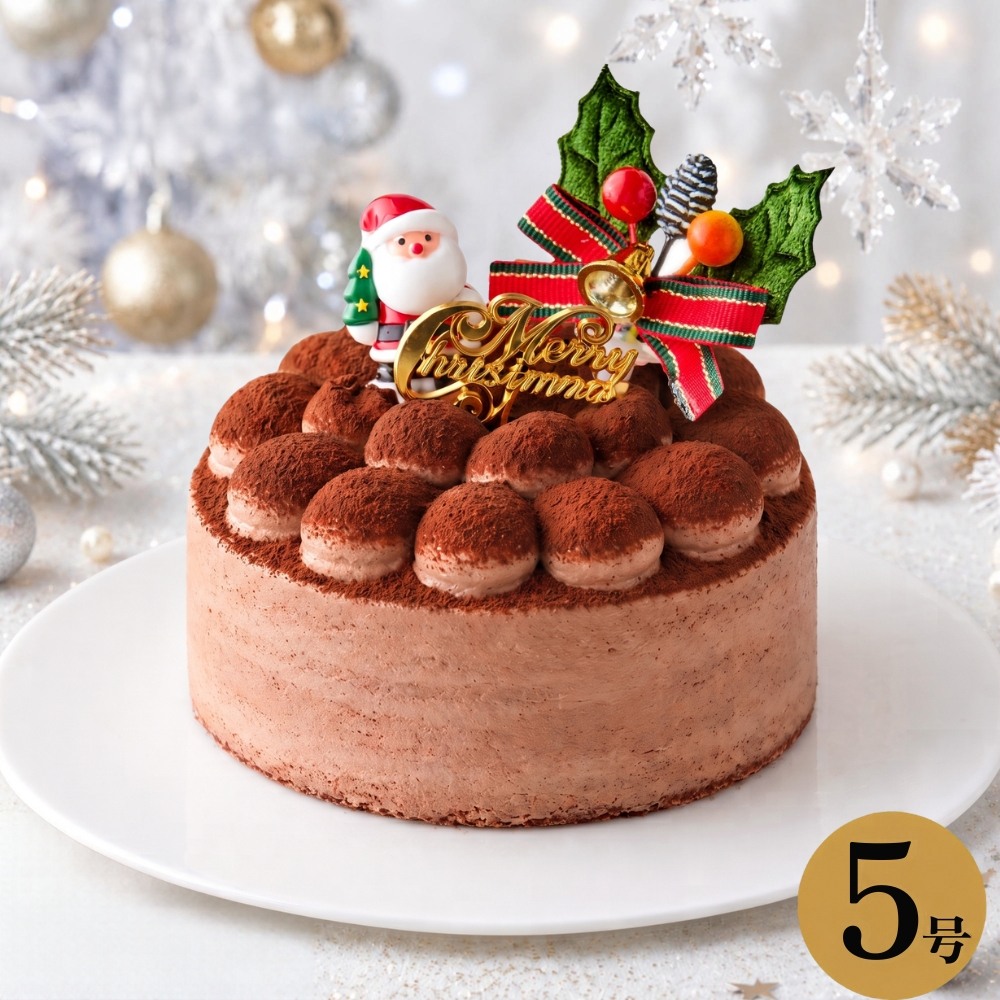 【予約受付中】クリスマスケーキ チョコレートケーキ ガトーショコラ 5号 Xmas 2026 4～6人 送料無料 クリスマス プレゼント  (x21005)