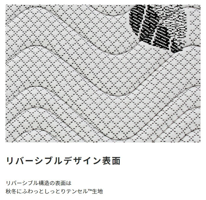 マットレス 圧縮梱包 ポケットコイルマットレス クイーン マットレスのみ 高反発 リバーシブル オールシーズン ベットマットレス 腰痛対策 体圧分散 ポケットコイル ナノテックコイル クイーンサイズ 天然素材 両面仕様 エクセレントナノテック ウレタン