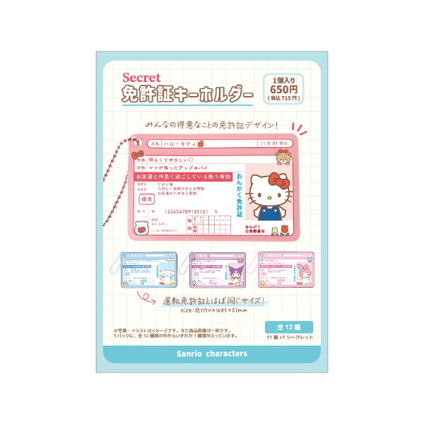 サンリオ シークレット免許証キーホルダー 全12種 コンプリートBOX Sanrio 送料込み