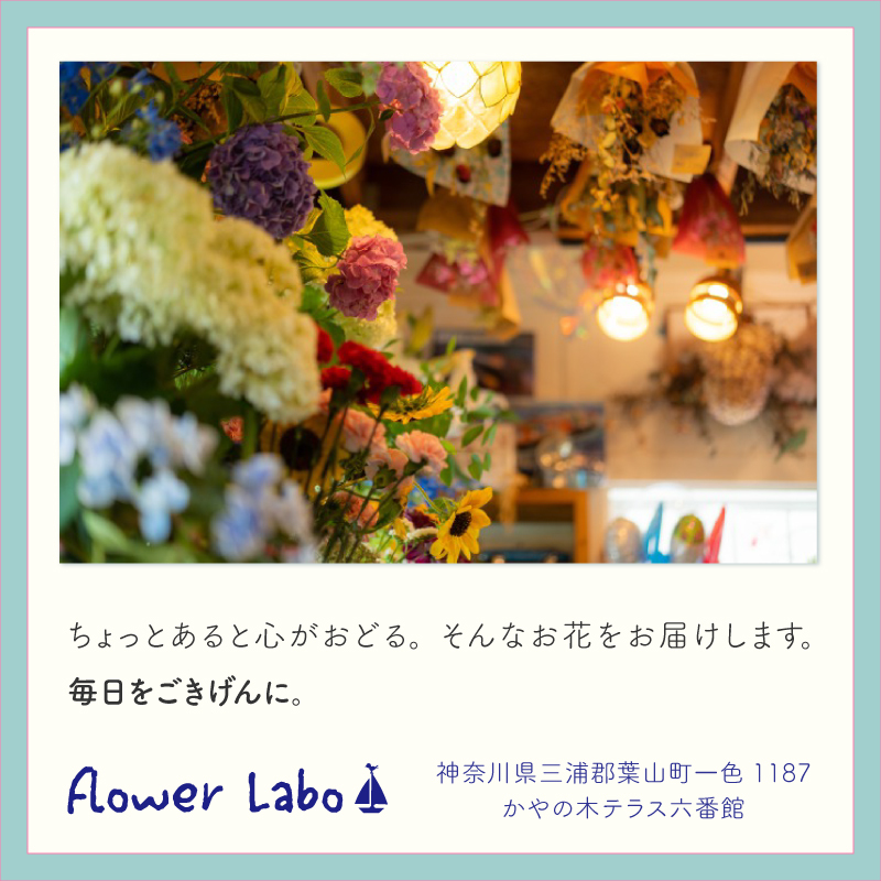 【Congrats】【バルーンブーケ】【メッセージバルーン入り】【選べる2色】かわいいハートバルーン入り 3980円以上送料無料 同梱OK  |  ミニブーケ バルーンミニブーケ バルーン入りミニブーケ 花束 バルーン花束 バルーン入り花束 バルーン入りブーケ お祝い 誕生日 合格祝い 卒業祝い 入学祝い 送別 プチギフト