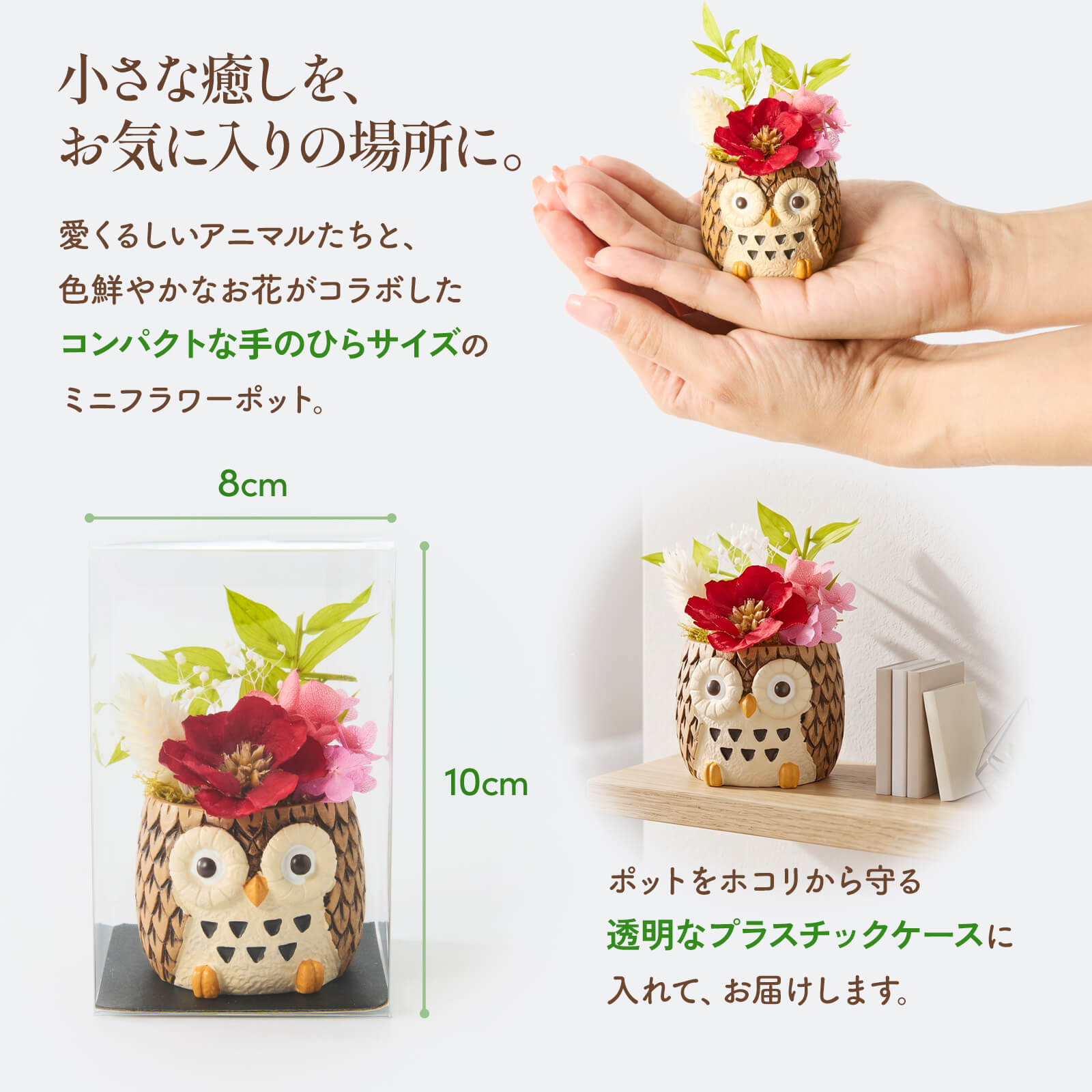 敬老の日 ギフト 花 アニマルポット プリザーブドフラワー フクロウ シマエナガ 選べるアニマル花器のギフトセット