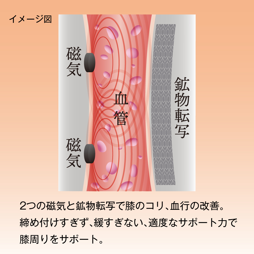 Mediline メディライン 膝サポーター 膝 サポーター 医療機器 磁気サポーター 膝用 薄型 綿混素材 M-L L-LL LL-3L 日本製 膝用 薄型 薄手 薄い 綿混 磁気 磁石 ひざ ヒザ 膝ベルト 膝用サポーター ひざサポーター 膝ケア