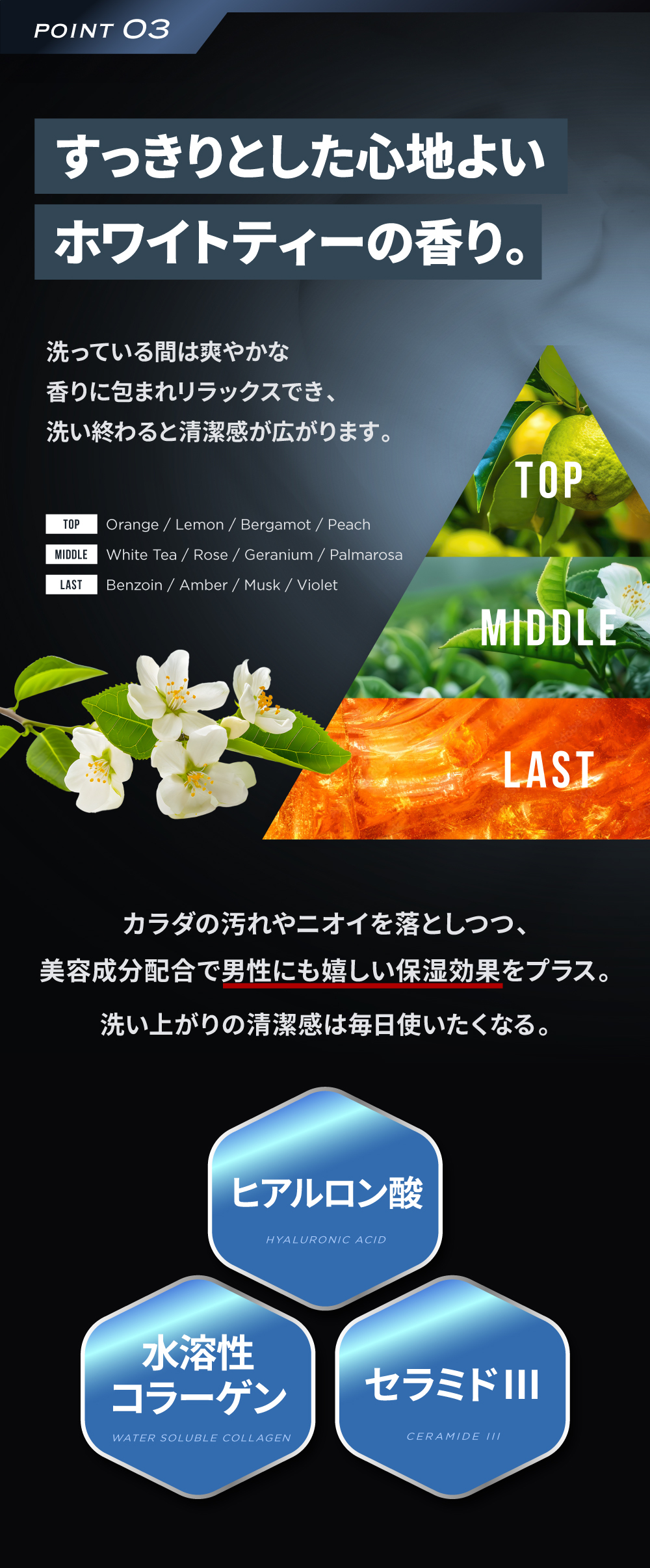 EVERSKIN ボディーソープ メンズ 体臭 ワキガ 加齢臭 背中ニキビ 皮脂 足臭 脇汗 【医薬部外品】ホワイトティーの香り 日本製 400ml