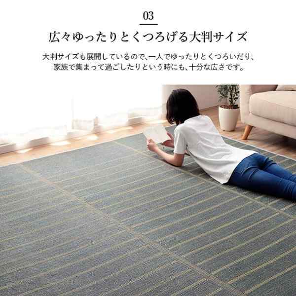 ラグ 長方形 い草 自然素材 シンプル ボーダー 裏面すべり止め付き 滑りにくい 抗菌防臭 約6畳 約240×320cm