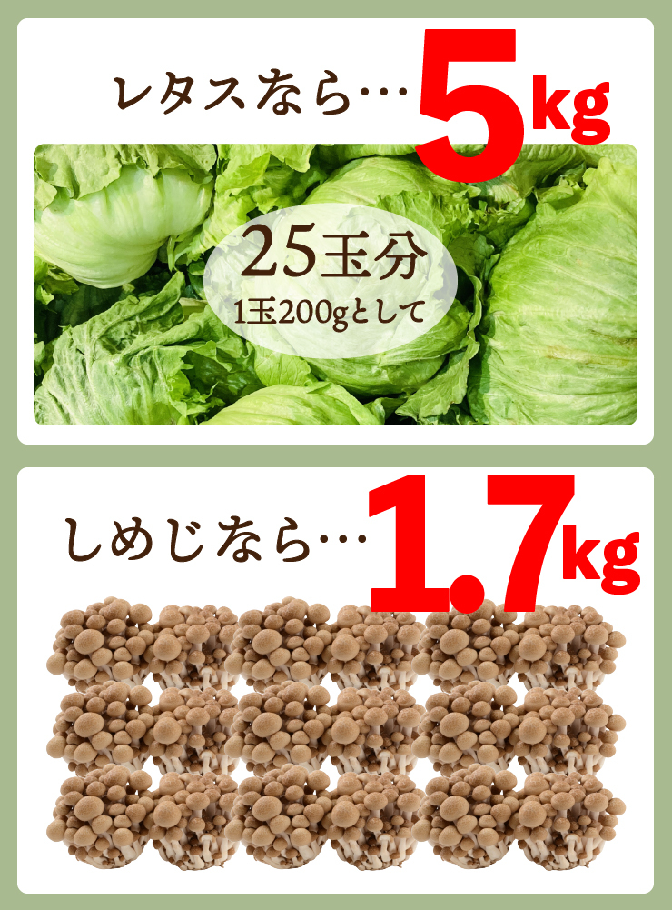 無添加 すごいねばねばグリーンポタージュダイエットスープ12食