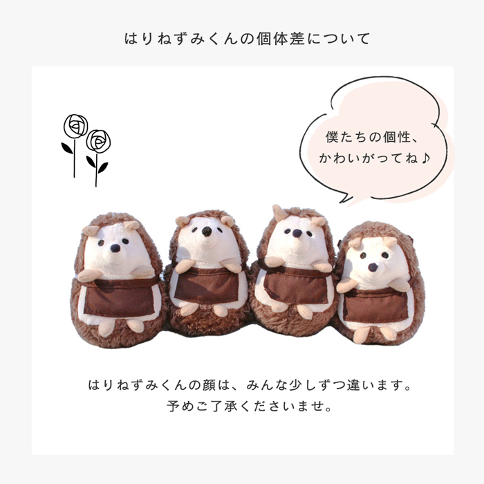 amanoppo あまのっぽ はりねずみくんとカップケーキ 絵本＆ぬいぐるみセット | 絵本 えほん ぬいぐるみ はりねずみ どうぶつ 動物 アニマル 1歳児 1歳半 ファースト絵本 読み聞かせ 知育 五感 かわいい 可愛い プレゼント 誕生日 出産祝い ベビー