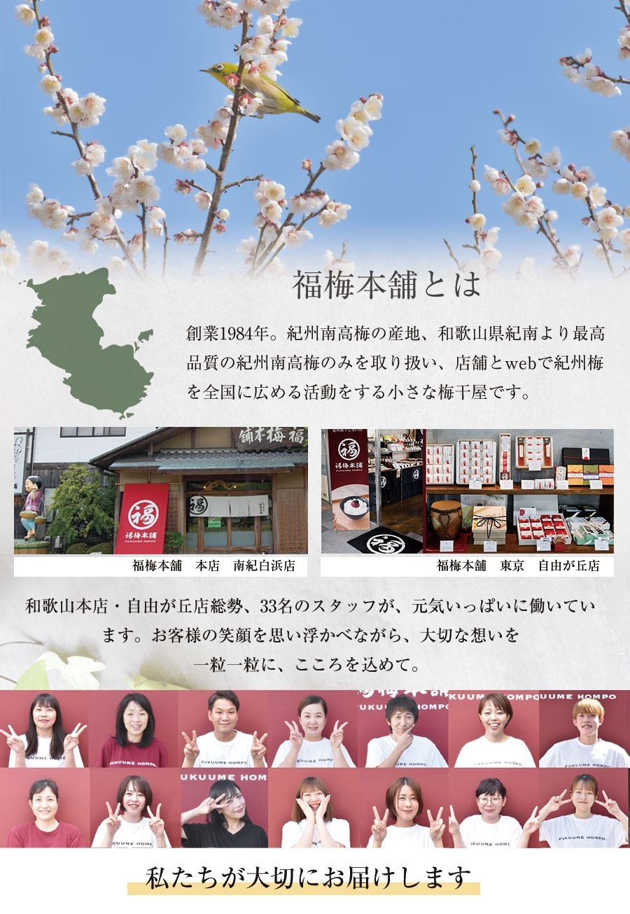 【特選紀州南高梅】【あまみつ梅250g×2パック（塩分約5％）】【紀州産】【調味梅干】減塩のはちみつ梅干し つけもの 梅干し ギフト プレゼント 内祝