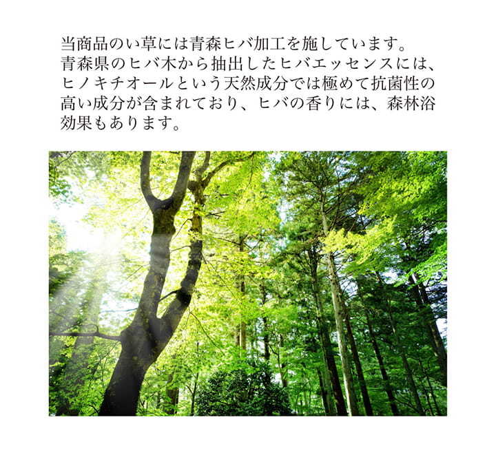 夏ラグ 夏用カーペット 堀こたつ 掘りごたつ 堀り 炬燵 い草 ラグ 敷 市松 くり抜き 付属 マジックテープ 連結 裏 不織布 約191×300cm（中抜き:約90×150cm）