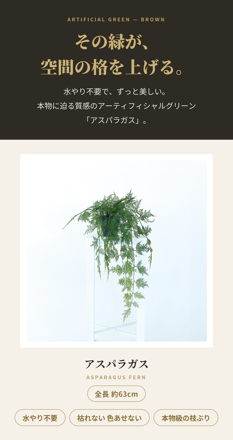 観葉植物 造花 アスパラガス BROWN 全長約63cm フェイクグリーン 高級 本物そっくり リアル おしゃれ 卓上 インテリア 人工観葉植物 アーティフィシャルグリーン 垂れ下がる ふわふわ オフィス 店舗 開店祝い 室内 リビング 玄関 トイレ 風水 アスパラガスファーン