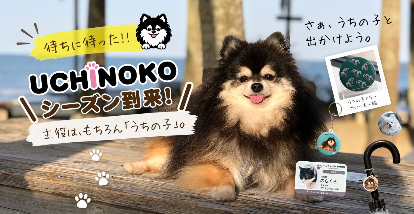 うちの子グッズ 犬 猫 名入れ 缶バッジ 44mm ペットグッズ 愛犬グッズ 写真 オーダーメイド ギフト 敬老の日 プレゼント