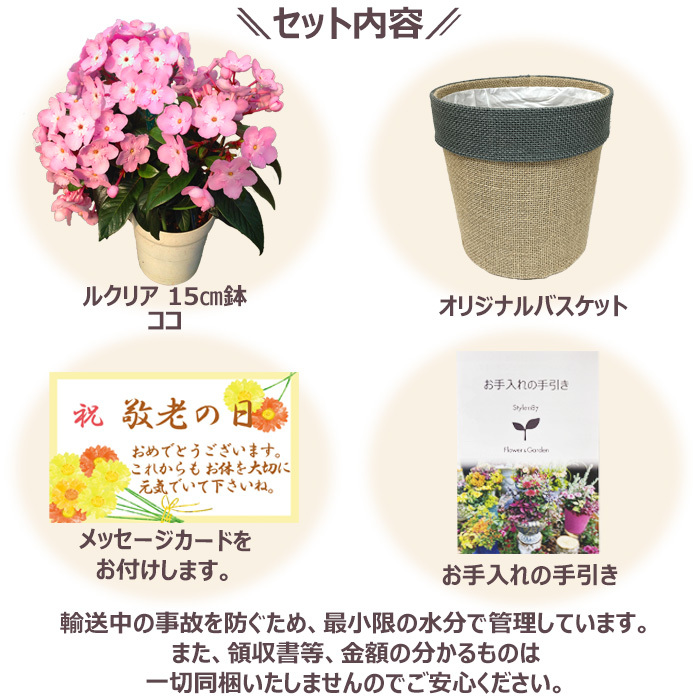 祝 敬老の日 プレゼント ギフト ルクリア ココ5号 バスケット 9月21日 鉢花 ニオイザクラ 送料無料 沖縄・離島を除く
