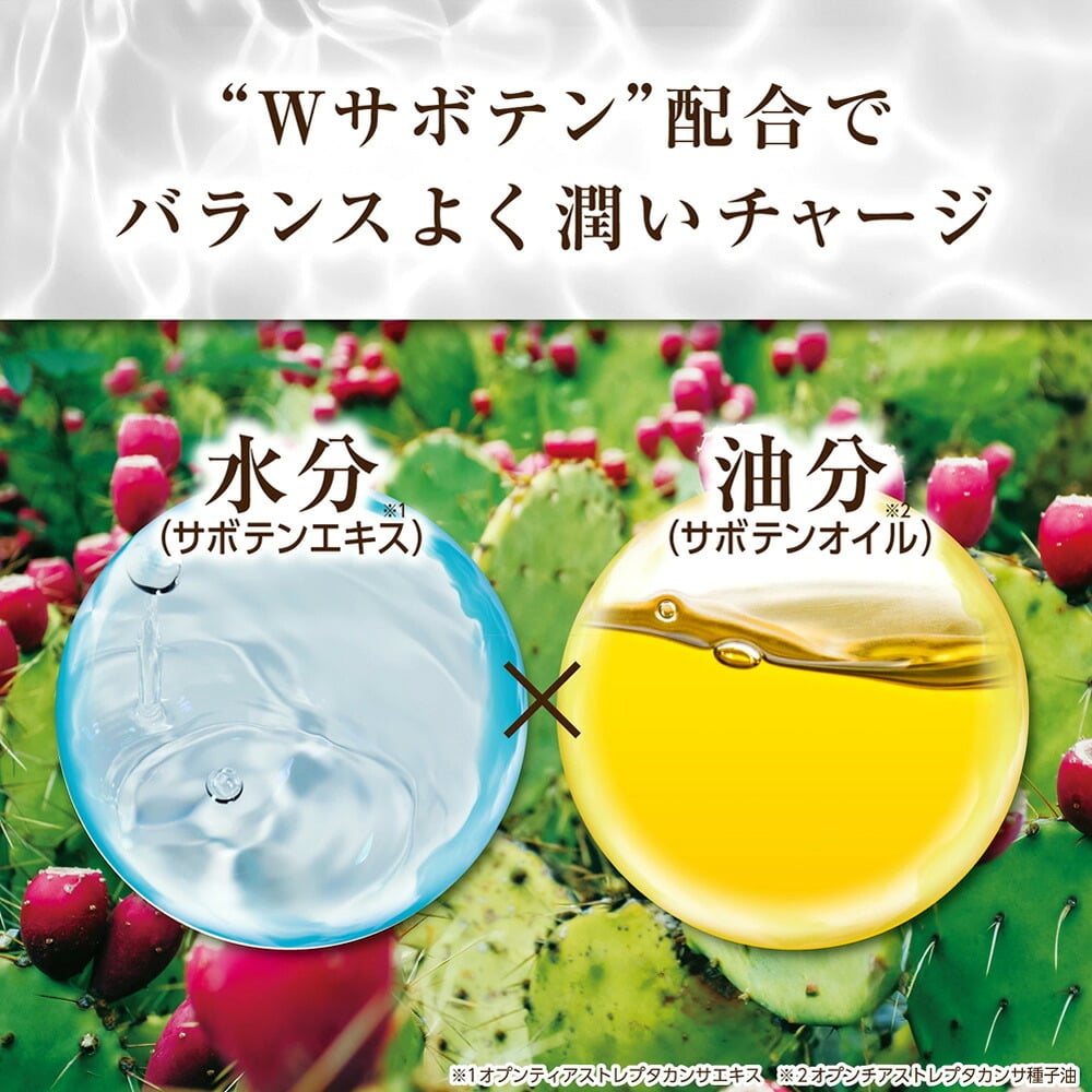 【メール便配送】北斗晶 [ nopa モイスチャーフェイスマスク (7包入) ] ノパ 美容液 シートマスク パック サボテンエキス サボテンオイル サボテンコスメ 乾燥 潤い ハリ ツヤ 保湿 スキンケア エイジングケア 40代 50代 60代 70代 美容 母の日 誕生日 クリスマス プレゼント 敬老の日