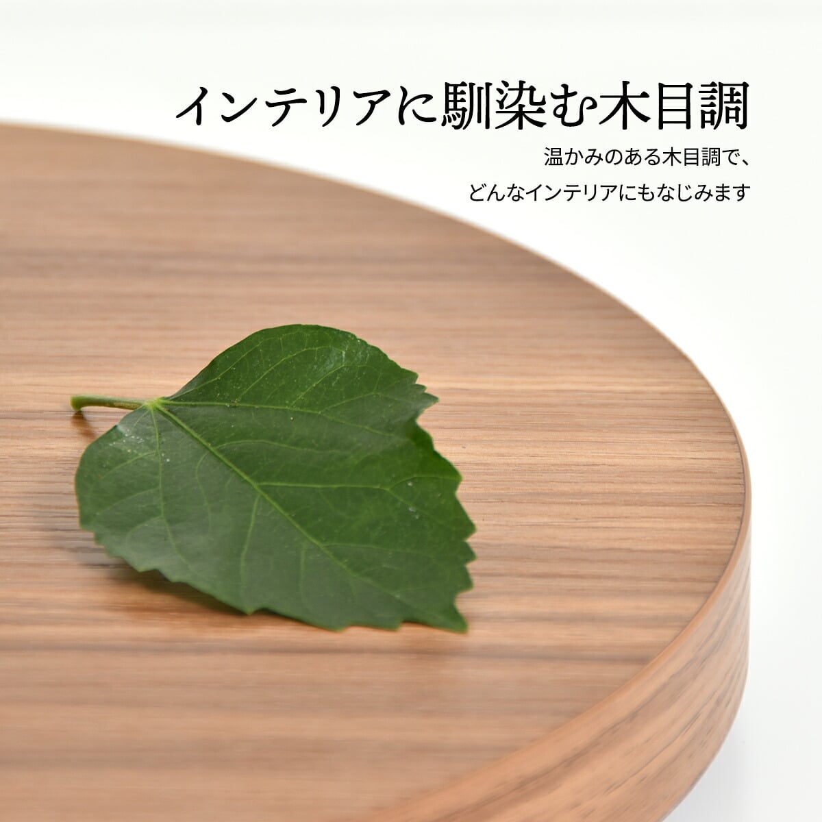 ラウンド プランターベース ONPT0106 W300×D300×H37mm キャスター付きプランター台 プランターバスケット プランターボックス プランタートレー 植木鉢 鉢 プランター置き 室内 リビング 事務所 オフィス 水やり キャスター付きトレー