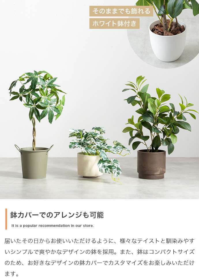 【高さ55cm】光触媒人工観葉植物 パキラ 幅35cm×奥行35cm×高さ55cm コンパクト 天然木 お部屋に気軽に飾れて空間を美しく彩るフェイクグリーン 本物の植物のようなリアルな質感とインテリアに馴染む風合いが魅力です