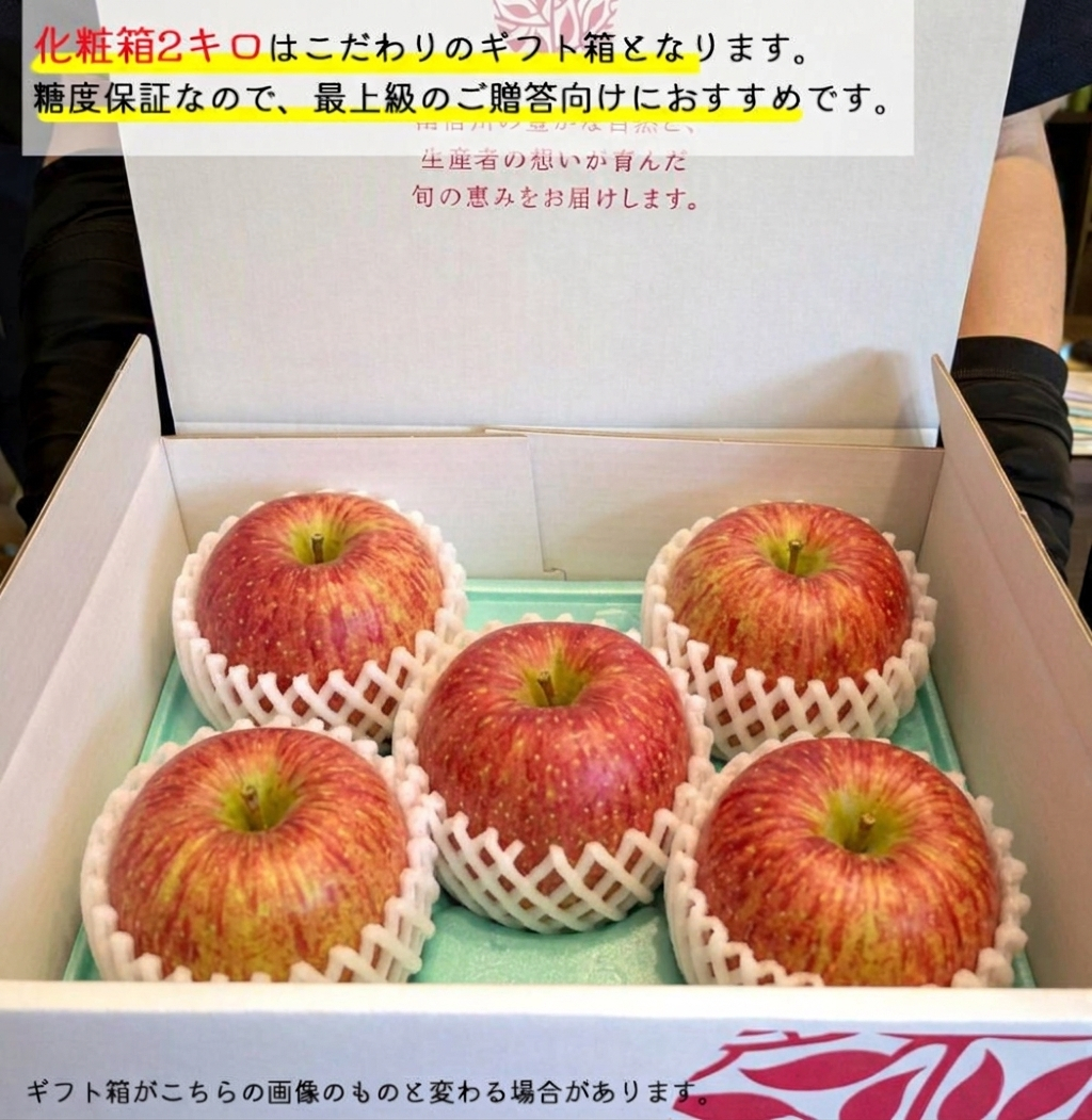 【糖度光センサー選別】長野県産りんご サンふじ プレミアム ギフト 約3キロ 約5キロ 贈答用 お歳暮 長野県産 信州産 果物 林檎 フルーツ 贈答 お取り寄せ 産地直送 母の日 父の日 敬老の日 還暦祝い お中元 お歳暮 お祝い ギフト 贈り物 グルメプレゼント 冬ギフト クリスマスプレゼント フルーツ 無添加【送料無料(一部地域除く)】