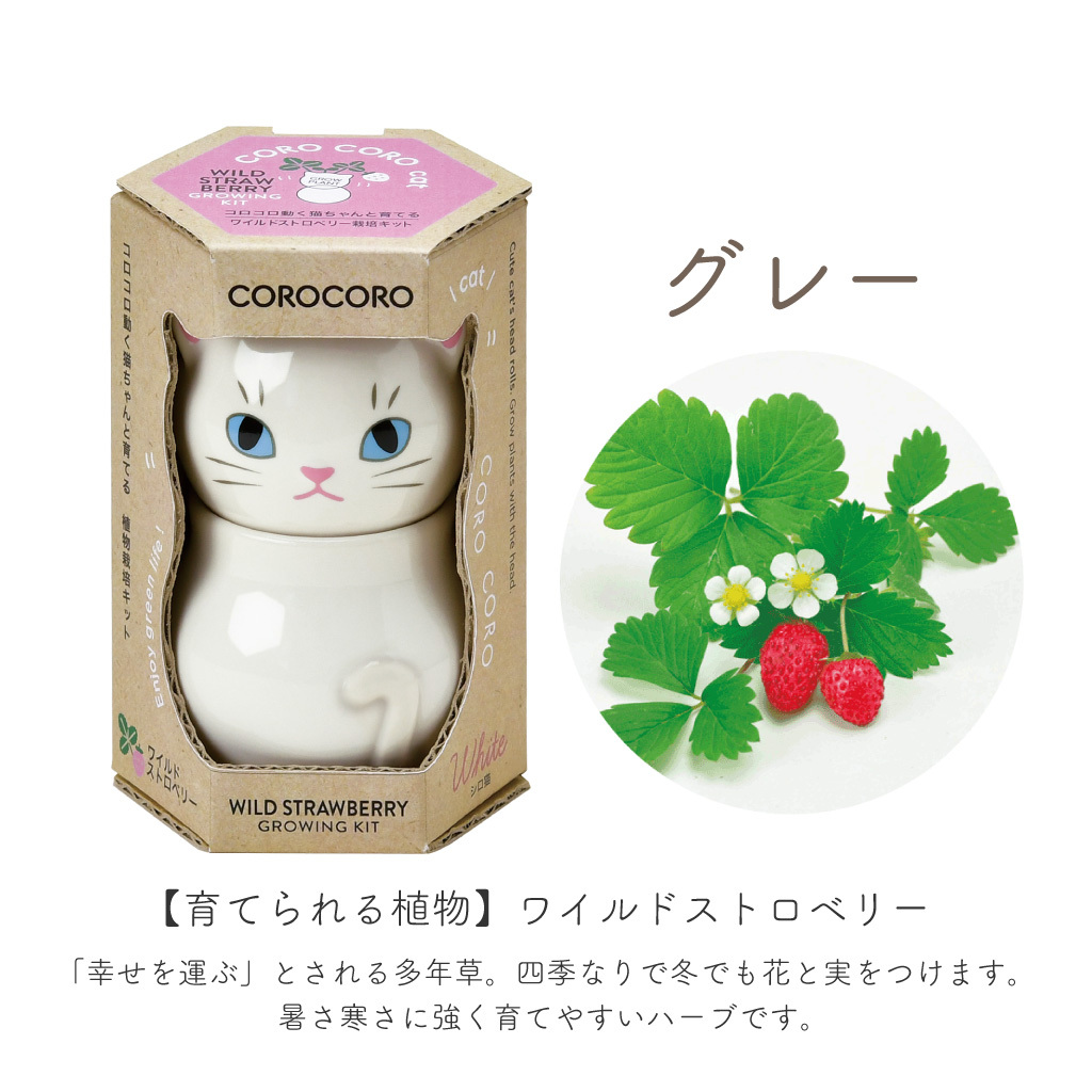 COROCORO cat（コロコロキャット）首をかしげて表情を楽しむ猫型栽培キット バジル ミント ワイルドストロベリー 植物 グリーン スターターセット オブジェ 置物 おしゃれ インテリア 雑貨 ギフト プレゼント 男性 女性 誕生日 ラッピング対応 無料ラッピング