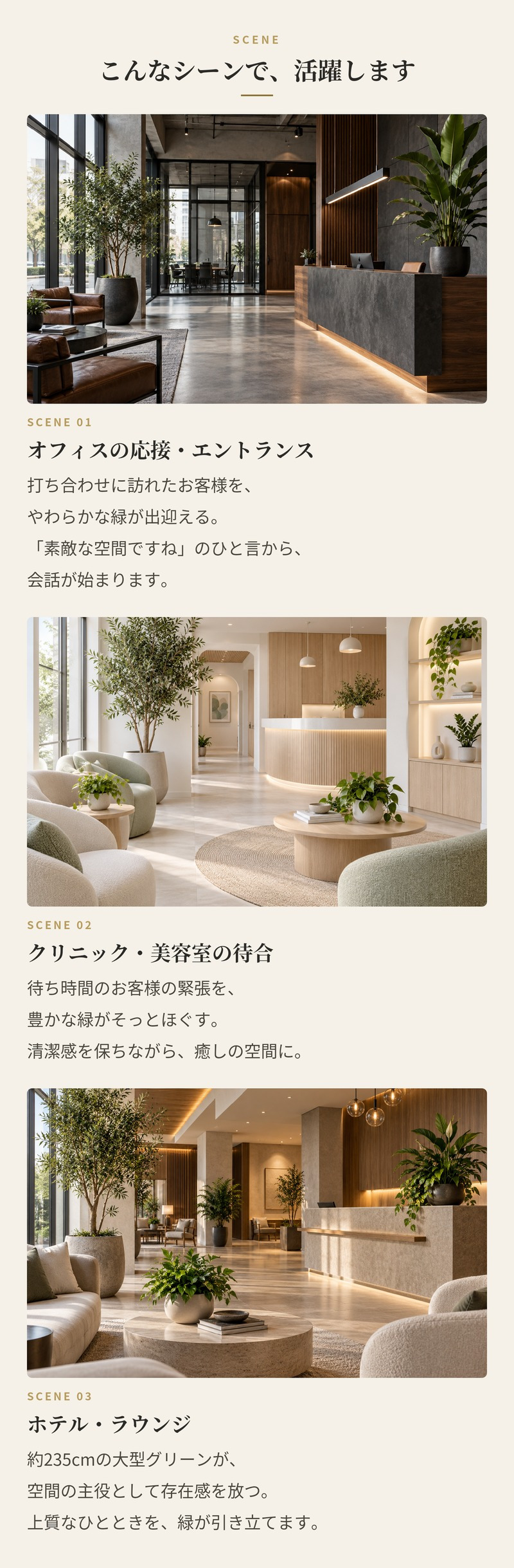 観葉植物 造花 ラデマキア BROWN 全高約235cm 大型 フェイクグリーン 高級 本物そっくり リアル おしゃれ インテリア 人工観葉植物 アーティフィシャルグリーン シンボルツリー オフィス 店舗 ホテル 開店祝い 室内 リビング 玄関 風水 ラデルマケラ