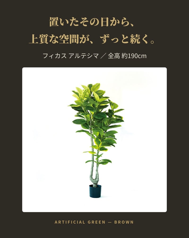 観葉植物 造花 フィカス アルテシマ BROWN 全高約190cm 大型 2本立ち フェイクグリーン 高級 本物そっくり リアル おしゃれ インテリア 人工観葉植物 アーティフィシャルグリーン シンボルツリー オフィス 店舗 ホテル 開店祝い 室内 リビング 玄関 風水 ゴムの木