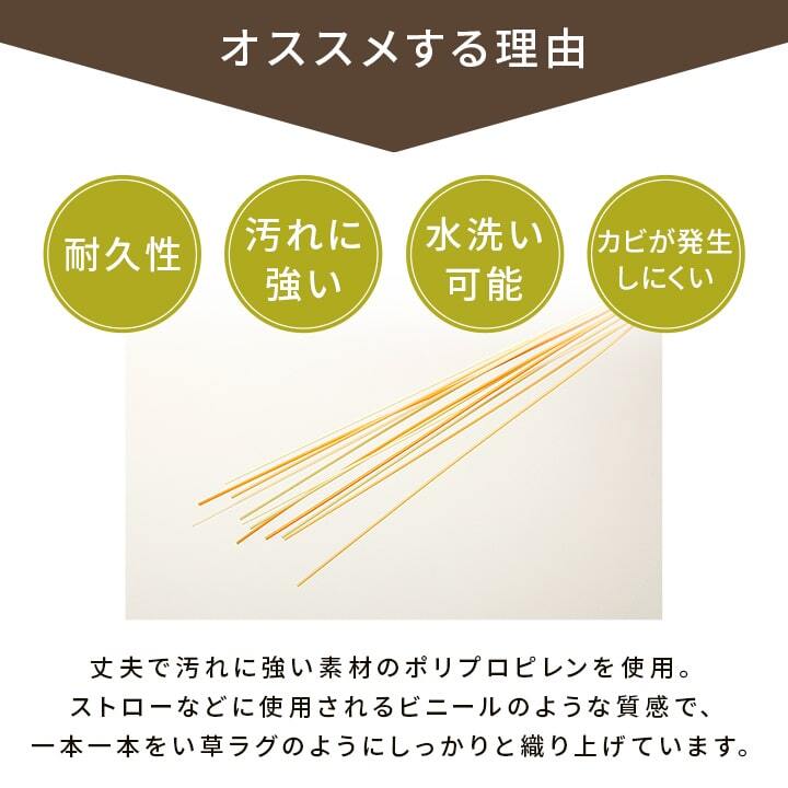 ラグ カーペット 洗える ござ 日本製 国産 丈夫 除菌スプレー対応 敷詰 敷物 ペット 無地 江戸間10畳（約435×352cm）
