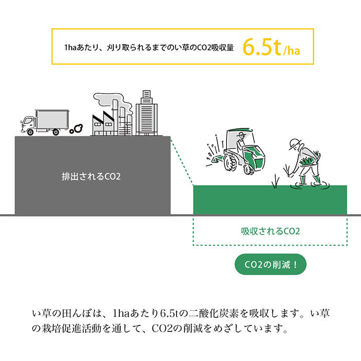 い草 リース 雑貨 飾り 消臭効果 リッラクス効果 アレンジ 約20cm丸
