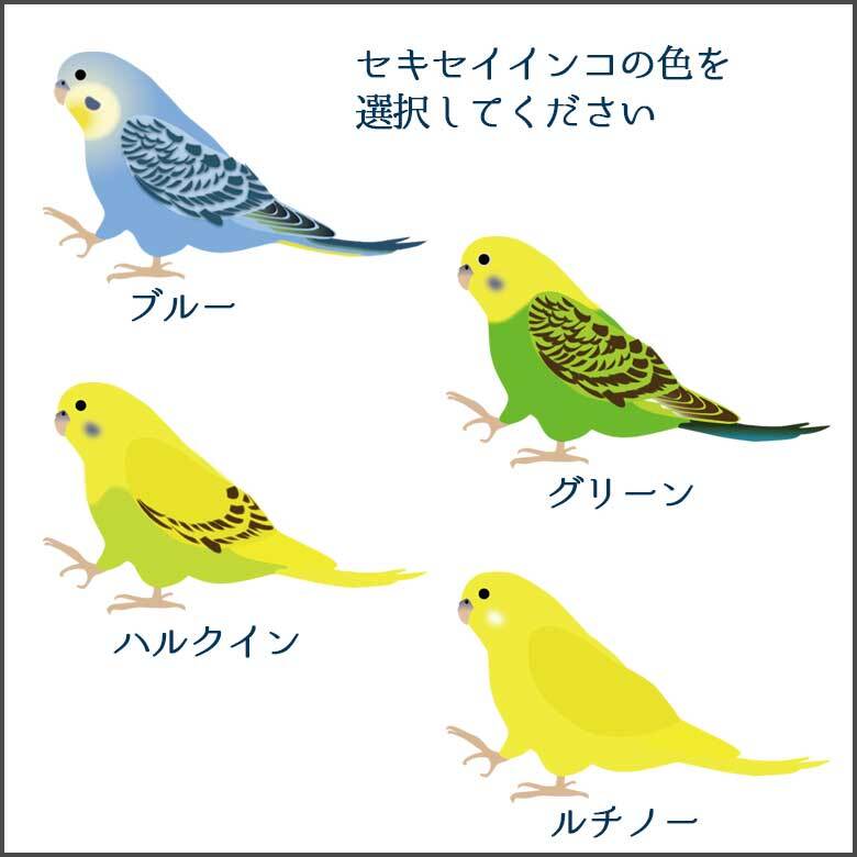 セキセイインコ かわいい 取っ手付きマグボトル おしゃれ 290ml 保温 保冷 ステンレス マグボトル 取っ手付き 真空 断熱 二重構造 ボトル タンブラー 水筒 マイボトル オリジナル インコ オウム 鳥 ペット 動物 アニマル