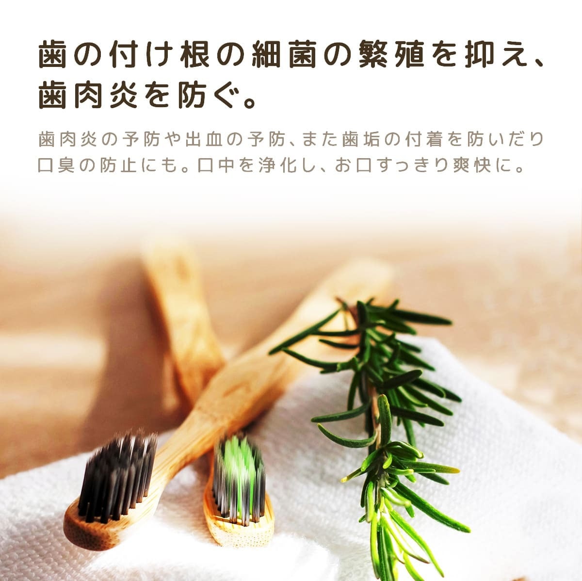 モンダミン ハビットプロ 洗口液 1080ml ノンアルコール 薬用モンダミンX-9N 医薬部外品 歯科医院専売 マウスウォッシュ 口臭ケア 歯肉炎予防 アース製薬