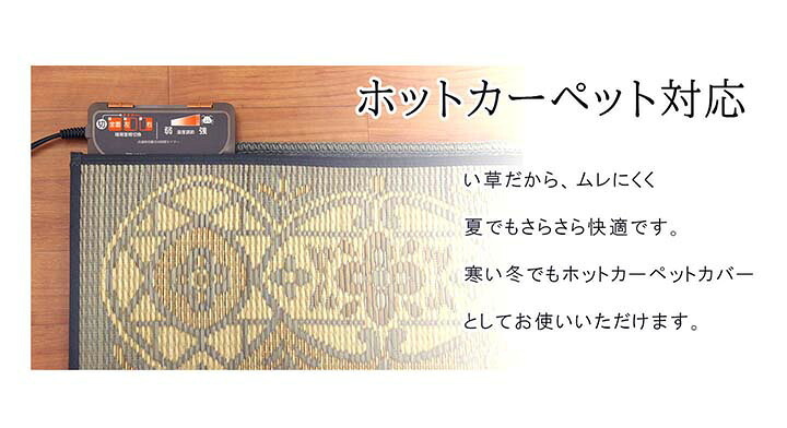 夏ラグ 夏用カーペット ラグ 長方形 夏用 ふっくら い草 サークル 191×250cm 新生活