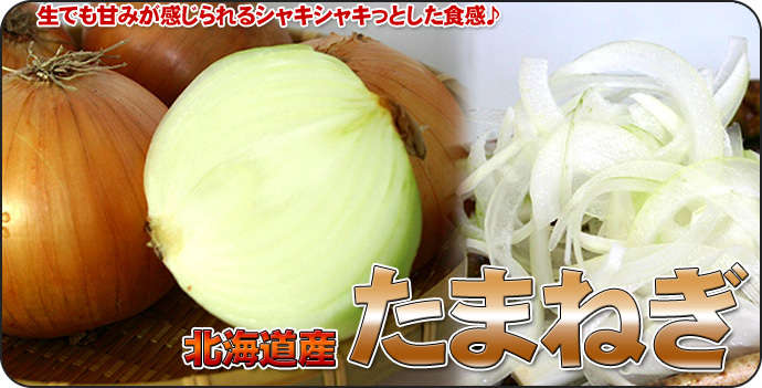 たまねぎ 送料無料 10kg 玉ねぎ 玉葱 タマネギ 北海道産 Lサイズ ※沖縄送料別途加算