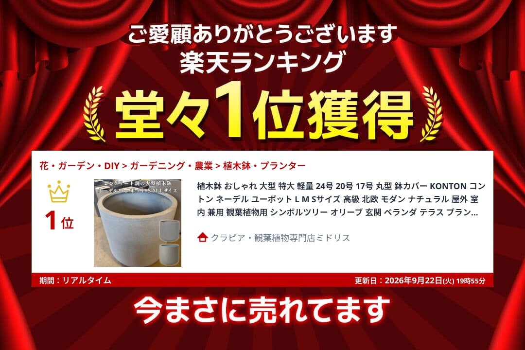 植木鉢 おしゃれ 大型 特大 軽量 24号 20号 17号 丸型 鉢カバー KONTON コントン ネーデル ユーポット L M Sサイズ 高級 北欧 モダン ナチュラル 屋外 室内 兼用 観葉植物用 シンボルツリー オリーブ 玄関 ベランダ テラス プランター 深型