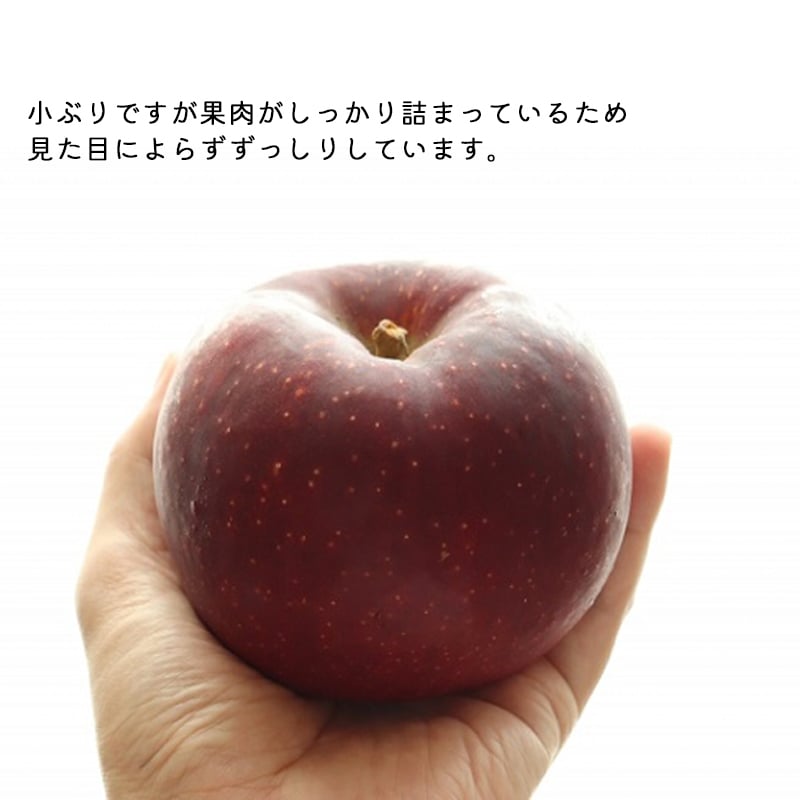 【予約】長野県産りんご 秋映 訳あり ご自宅用 果物 フルーツ お取り寄せ 産地直送 【送料無料(一部地域除く)】