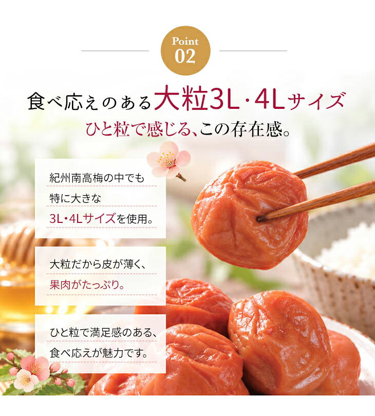 梅干し 紀州南高梅 つぶれ梅 1.7kg 850g×2パック 塩分約3% 減塩 はちみつ梅 蜂蜜 大粒 3L 4L 訳あり 紀州 和歌山県産 お徳用 果肉たっぷり ご飯のお供 ギフト