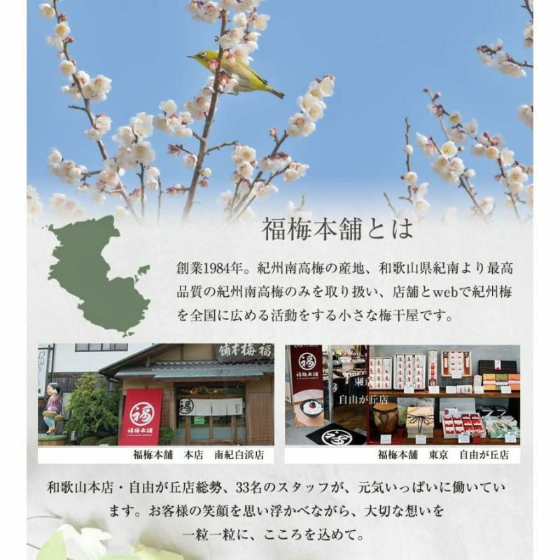 【特選紀州南高梅】【まろやか梅250g×2パック（塩分約10％）】【紀州産】【調味梅干】選べるサイズ ご飯にもぴったりのはちみつ梅干し つけもの 梅干し ギフト プレゼント 内祝