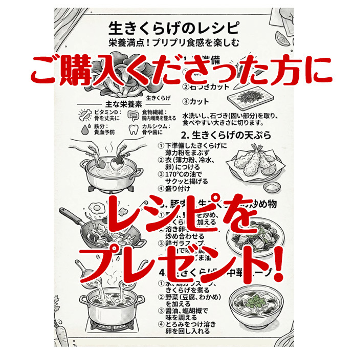 北海道産 冷凍生きくらげ 蝦夷ぷる美人 1kg(200g×5個入) 菌床栽培・無農薬 ぷりぷり肉質生キクラゲ 木耳 きのこ キノコ 送料無料 ※沖縄は送料別途加算