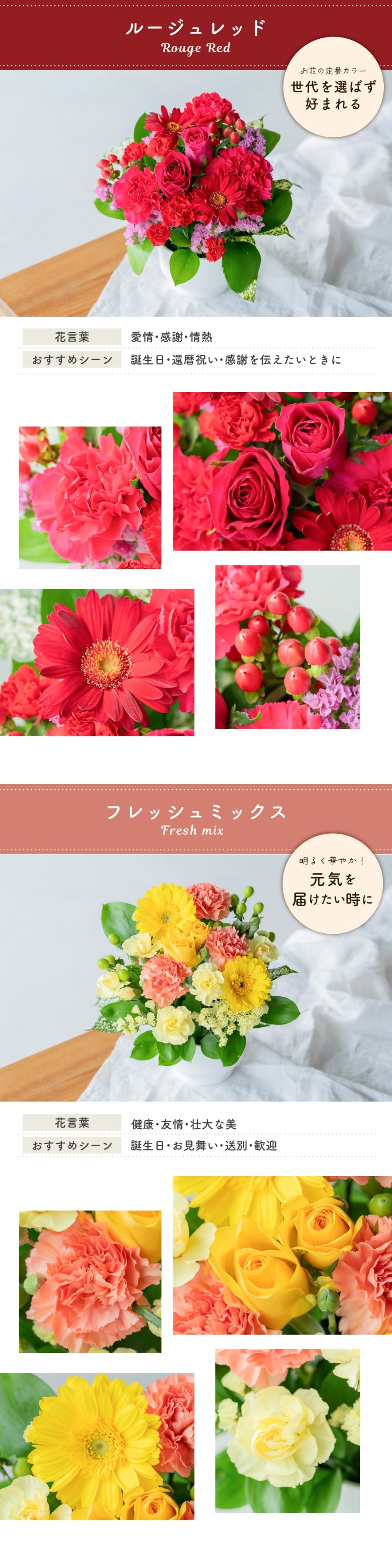カラフルガーデン アレンジメントS  生花 花市場から直送 お祝い 誕生日 記念日